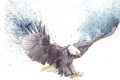 Eagle-1