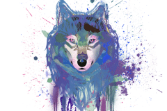 Wolf-3